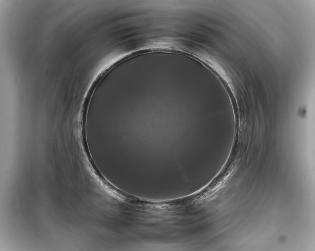 X0000099411045200805161016