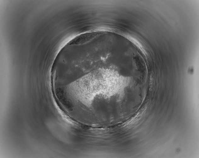 X0000099411047200805161016