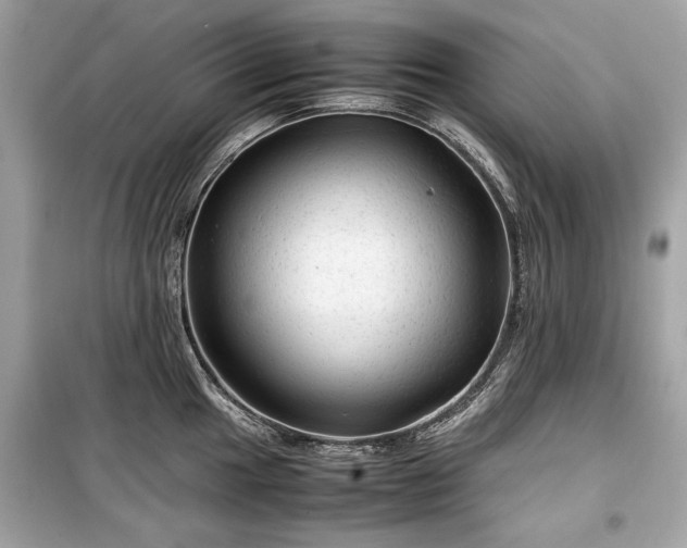 X0000099411049200805161016