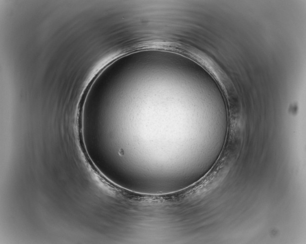 X0000099411050200805161016
