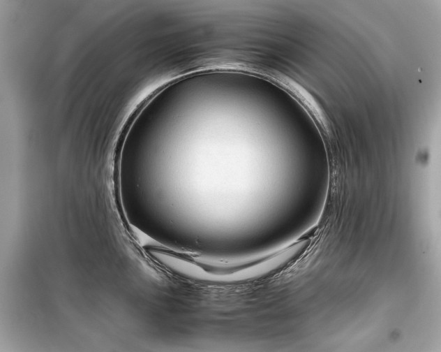 X0000099411051200805161016
