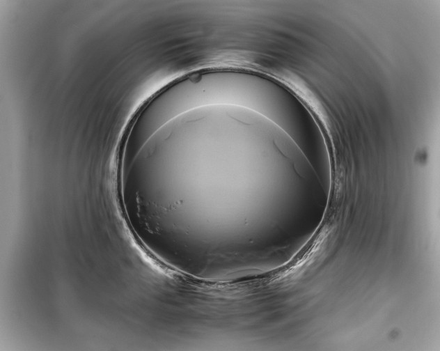 X0000099411053200805161016