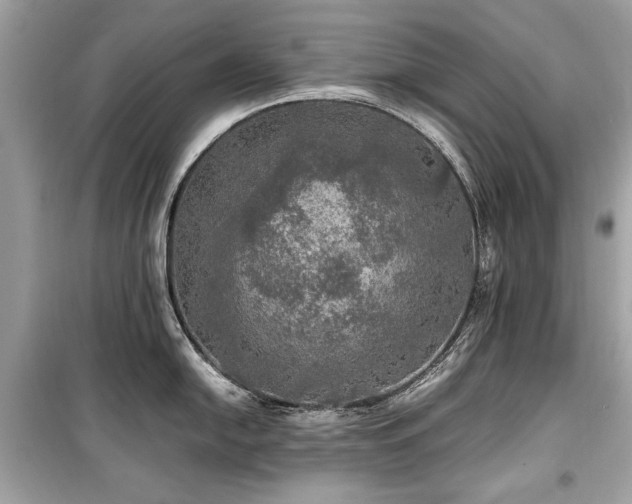 X0000099411054200805161016