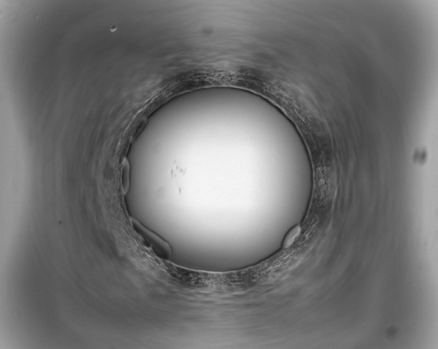 X0000099411057200805161015