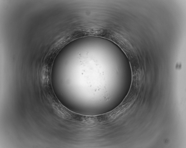 X0000099411058200805161015