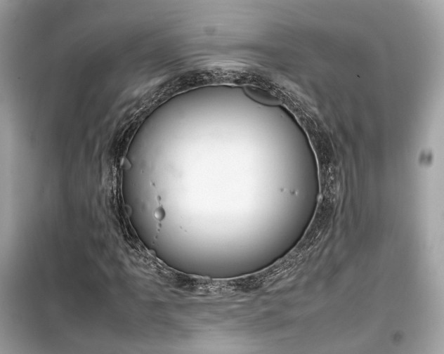 X0000099411061200805161015