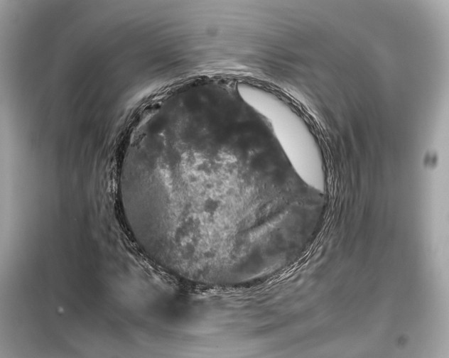 X0000099411063200805161015