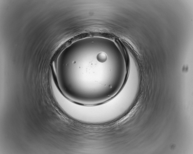 X0000099411065200805161015