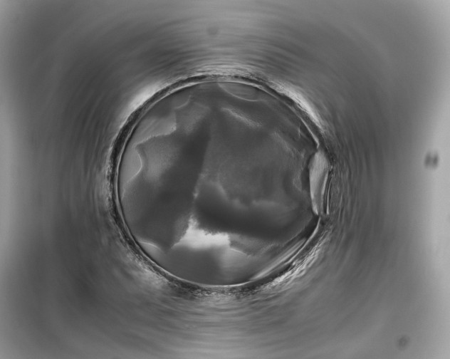 X0000099411071200805161015