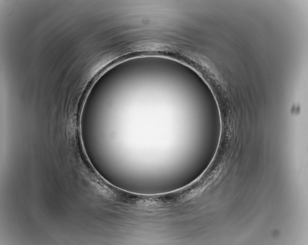 X0000099411073200805161015