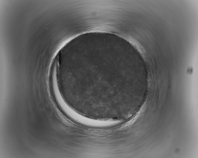 X0000099411077200805161015