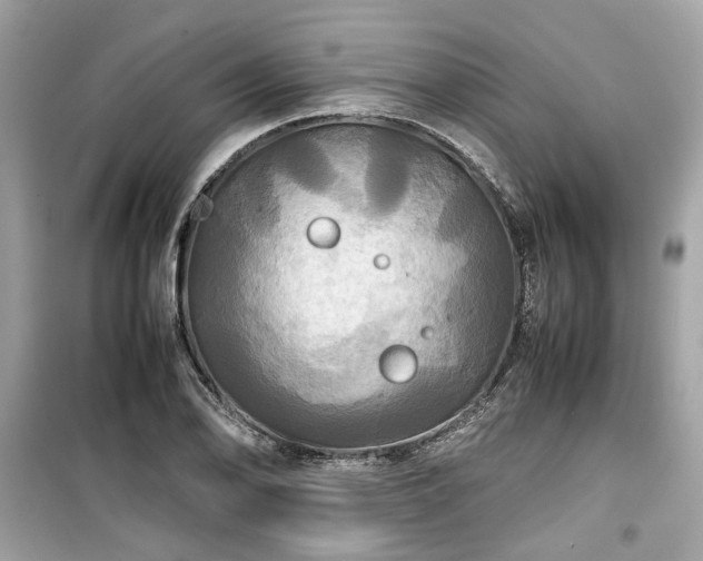 X0000099411078200805161015