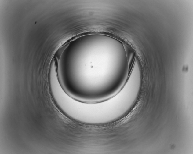 X0000099411081200805161015
