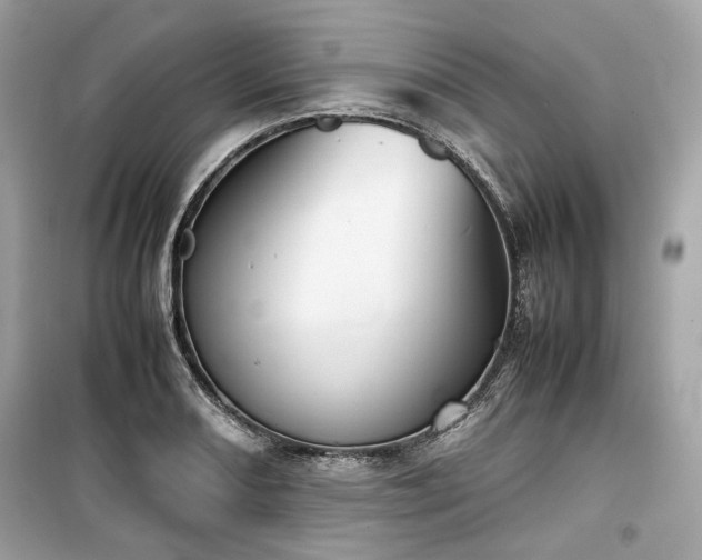 X0000099411082200805161015