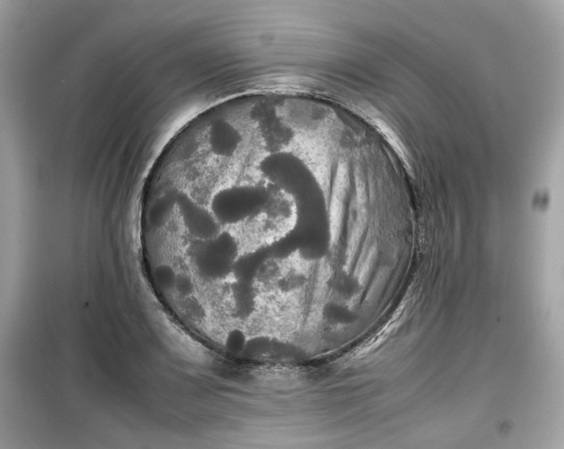 X0000099411083200805161015