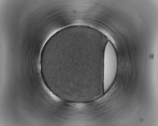X0000099411084200805161015