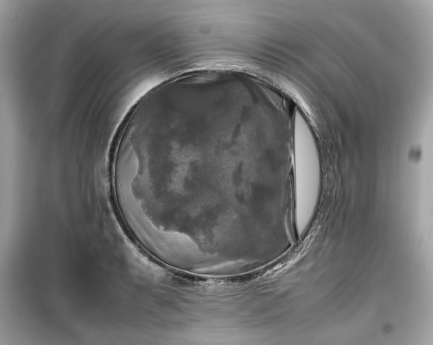 X0000099411087200805161015