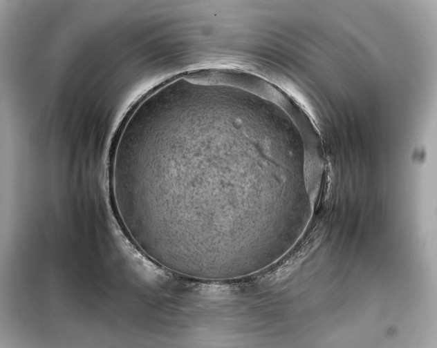X0000099411088200805161015