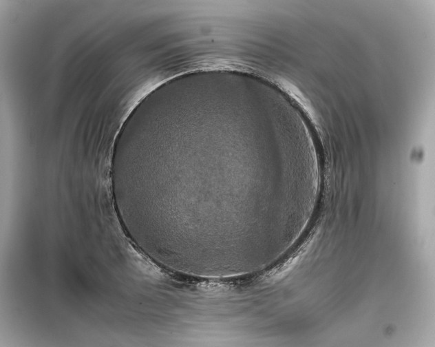 X0000099411089200805161015