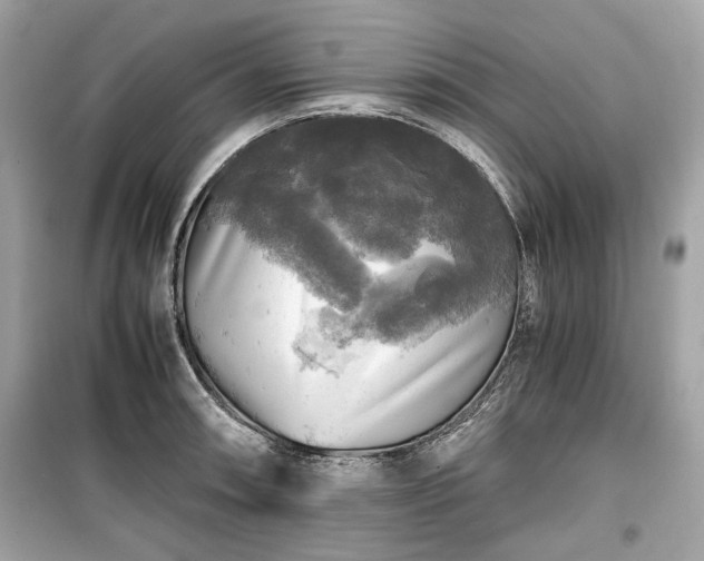 X0000099411090200805161015
