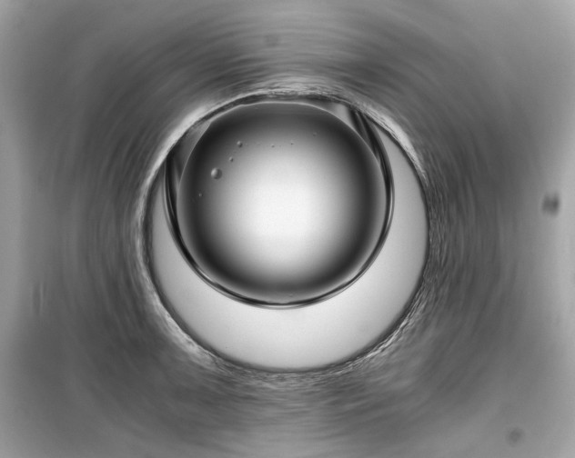 X0000099411091200805161015