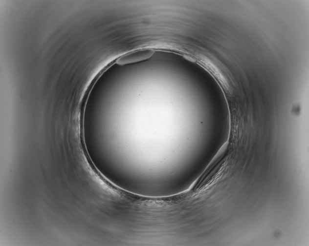 X0000099411092200805161015
