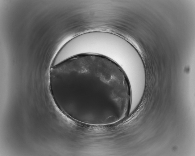 X0000099411095200805161015
