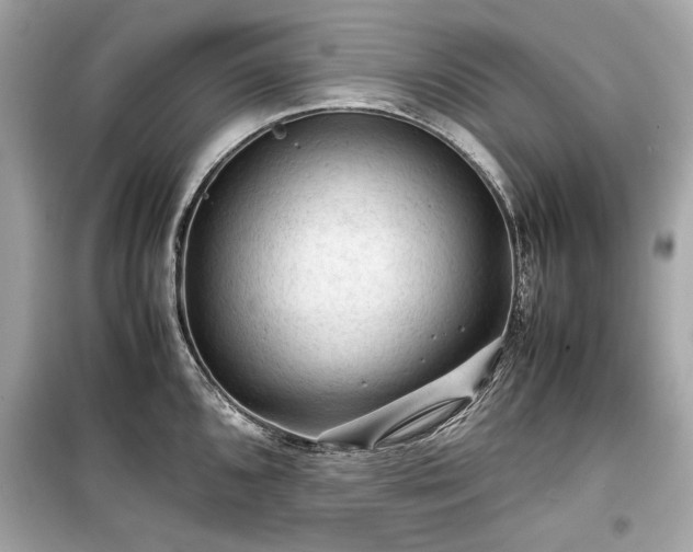 X0000099411096200805161015