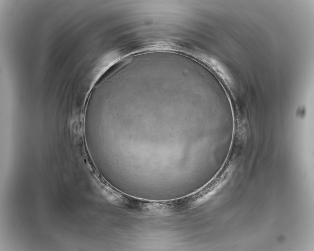 X0000099411097200805161015