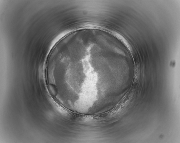 X0000099411098200805161015