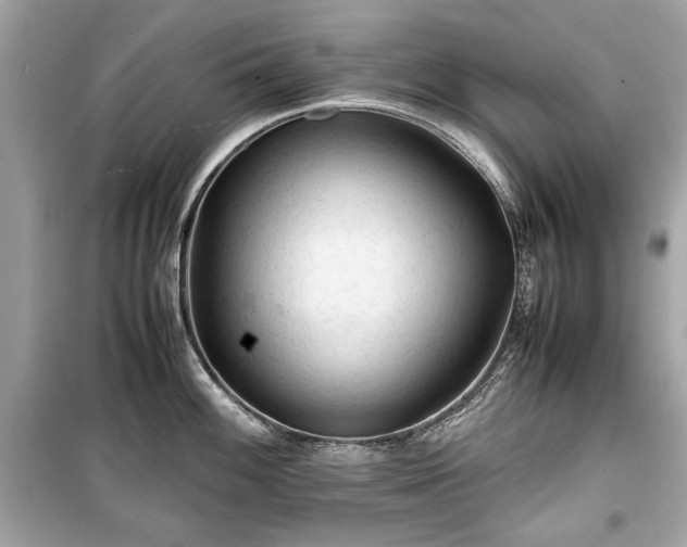 X0000099411100200805161015
