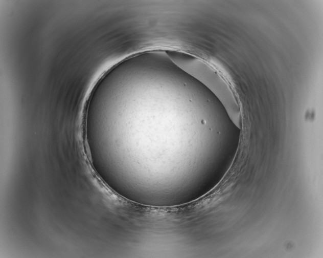 X0000099411104200805161015