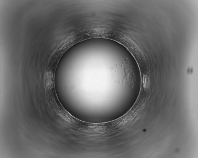 X0000099411107200805161014