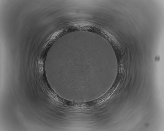 X0000099411108200805161014