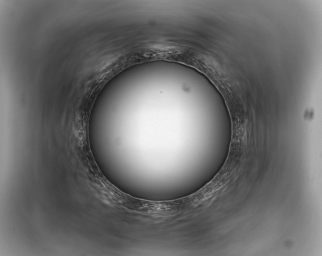 X0000099411109200805161014