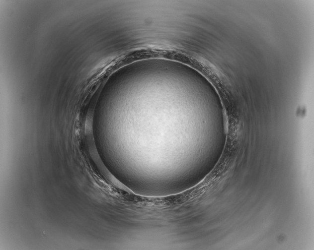 X0000099411110200805161014