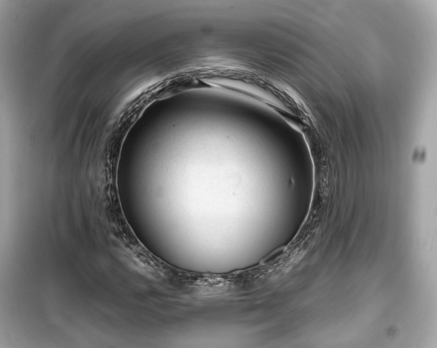 X0000099411112200805161014
