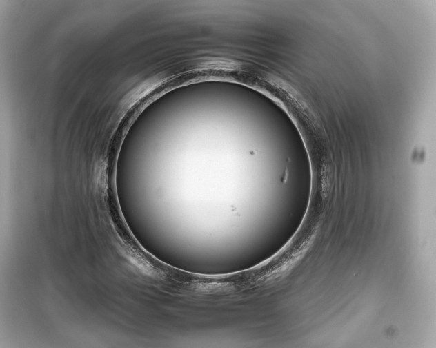 X0000099411113200805161014