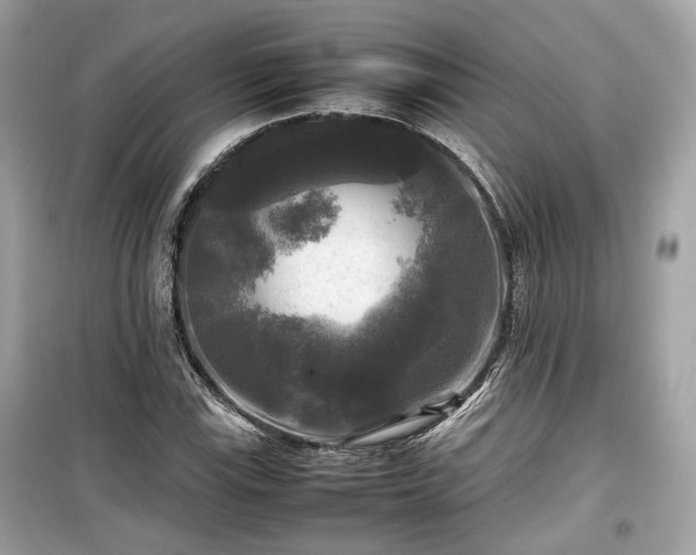 X0000099411115200805161014