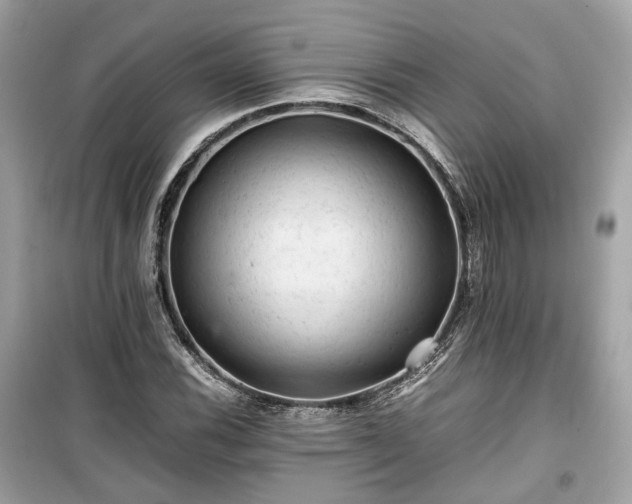 X0000099411116200805161014