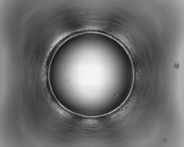X0000099411119200805161014