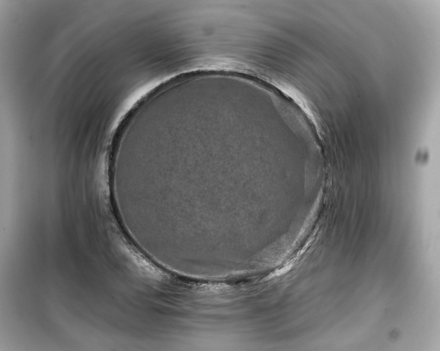 X0000099411120200805161014