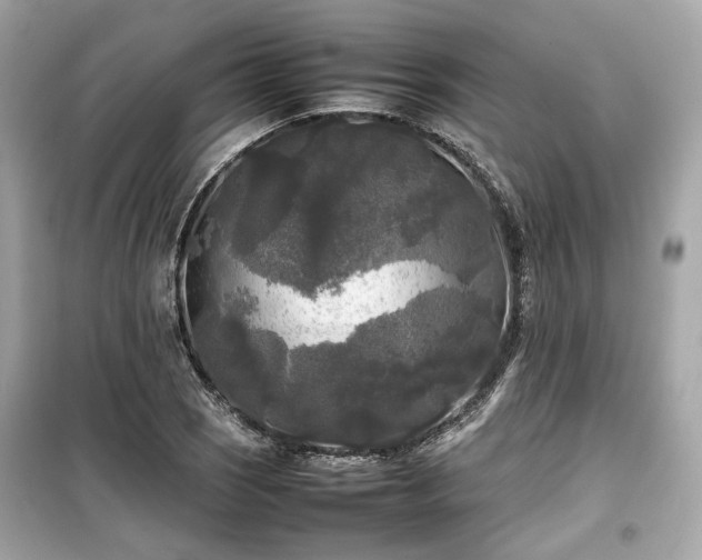 X0000099411121200805161014