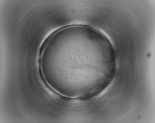 X0000099411124200805161014