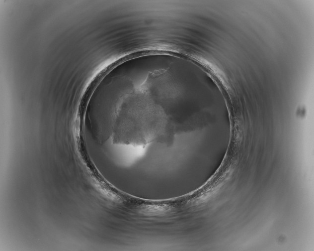 X0000099411125200805161014
