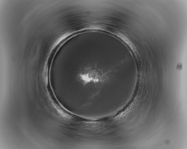 X0000099411127200805161014