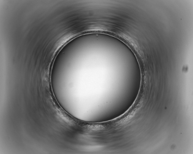 X0000099411129200805161014