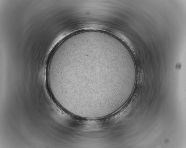 X0000099411130200805161014