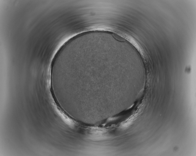 X0000099411132200805161014