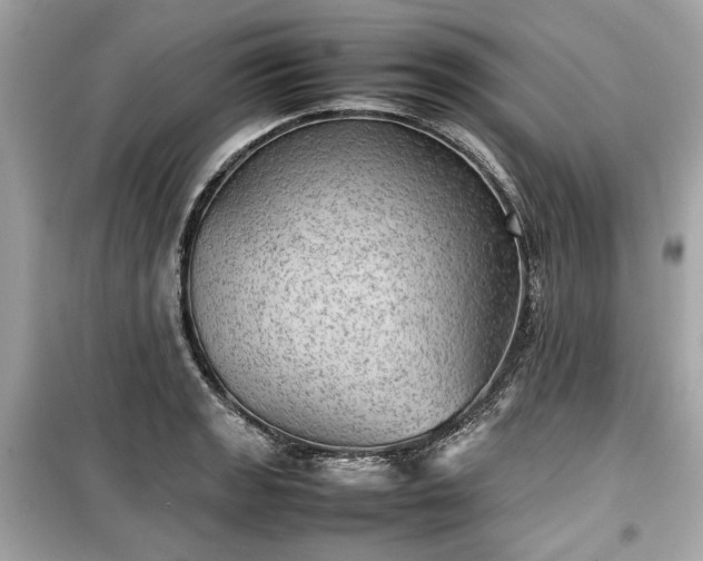X0000099411133200805161014